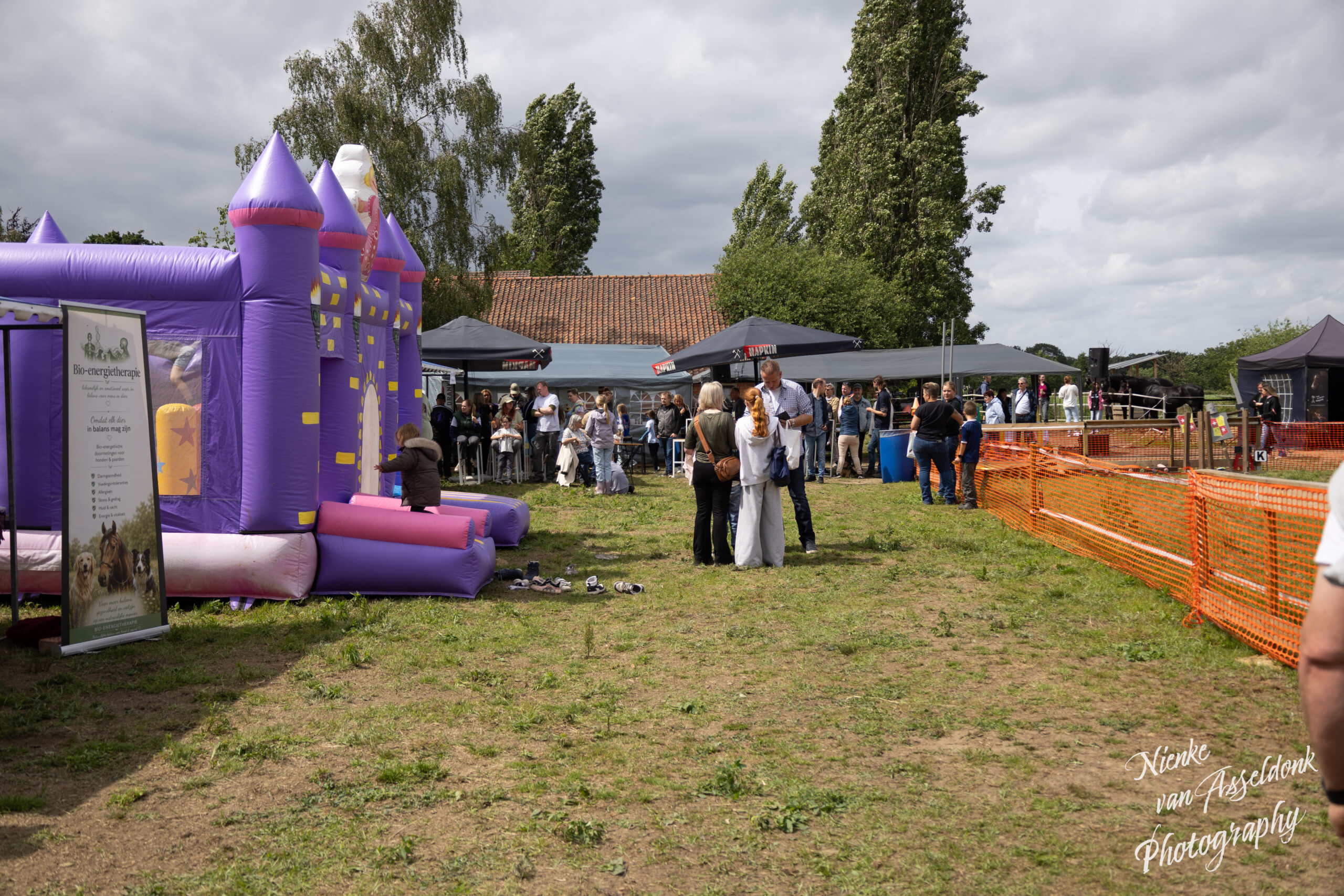 services-03 2026 06 07 Hoofs Paws Event 427 Scaled