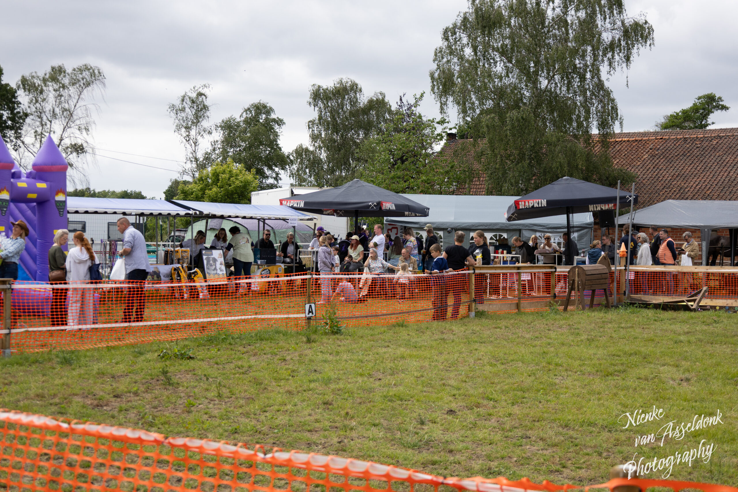 about-us-02 2026 06 07 Hoofs Paws Event 432 1 Scaled