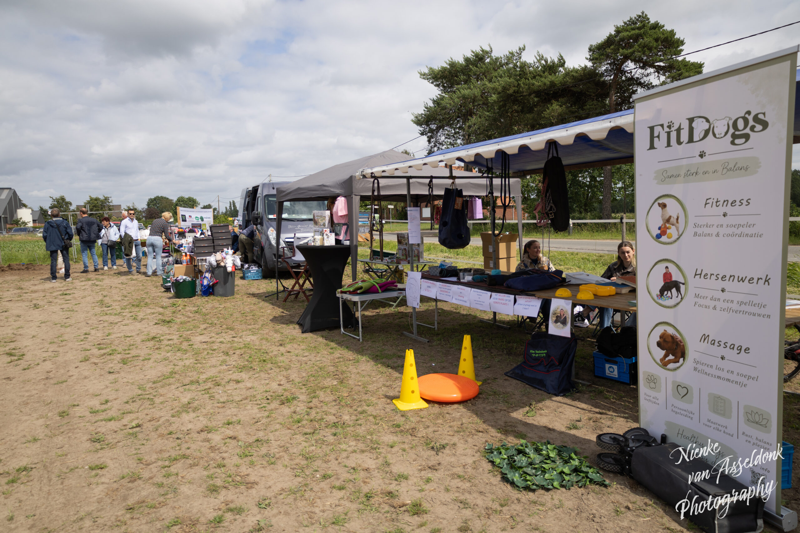 Crafting Captivating Headlines: Your awesome post title goes here 2026 06 07 Hoofs Paws Event 436 Scaled